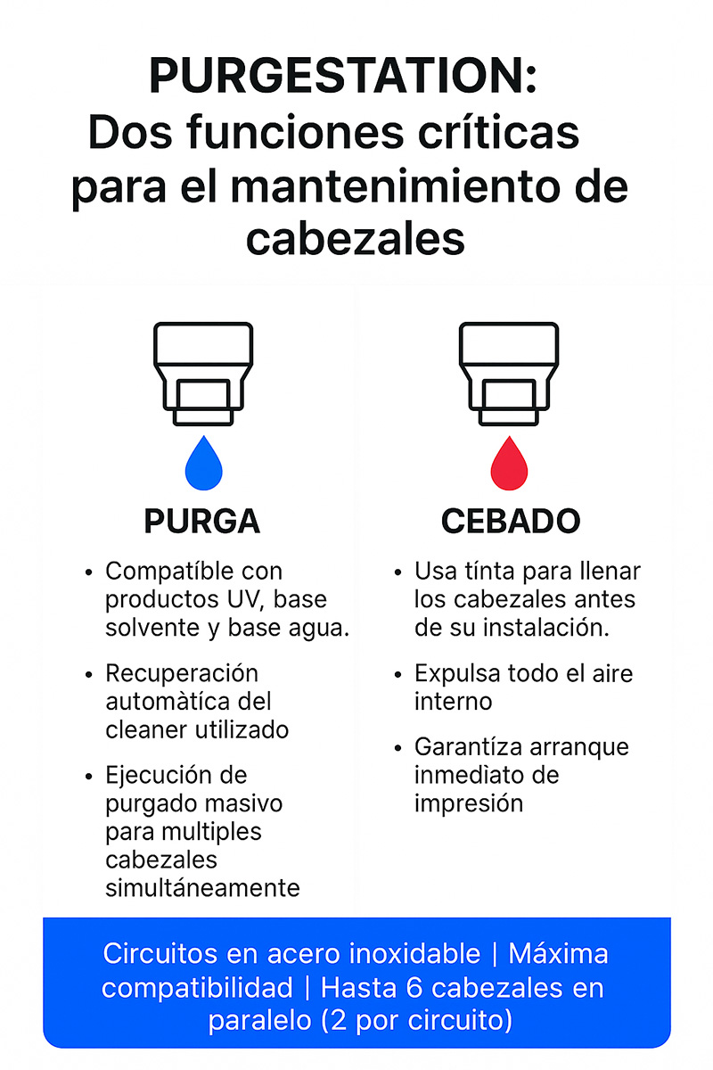 Infografía Purgestation